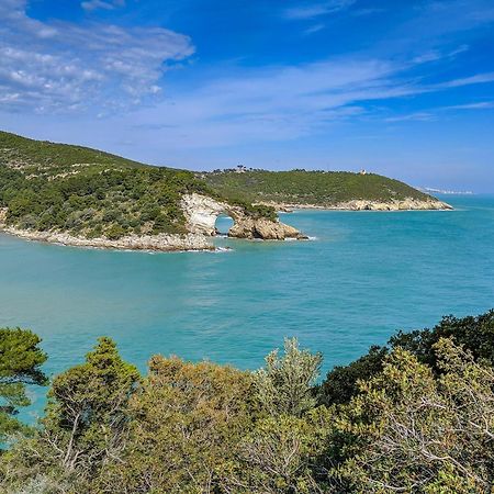 Villa Mapa - Appartamenti vicino al mare Vieste Esterno foto