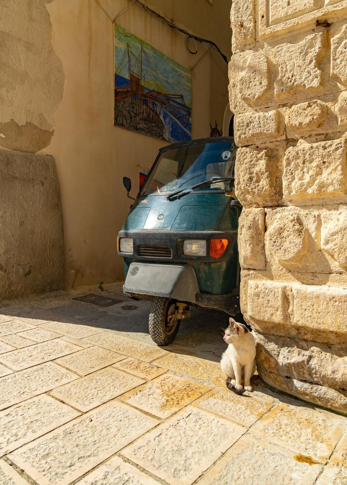 Villa Mapa - Appartamenti vicino al mare Vieste Esterno foto