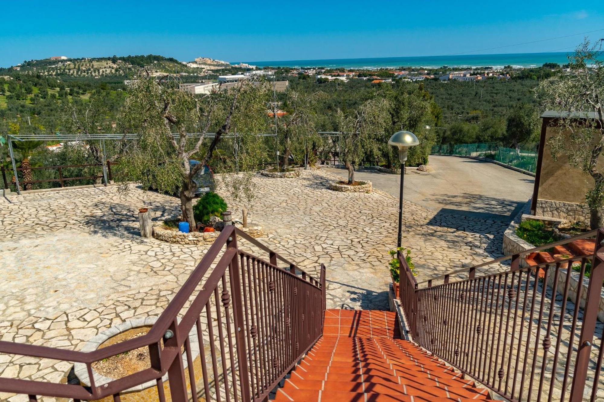 Villa Mapa - Appartamenti vicino al mare Vieste Esterno foto