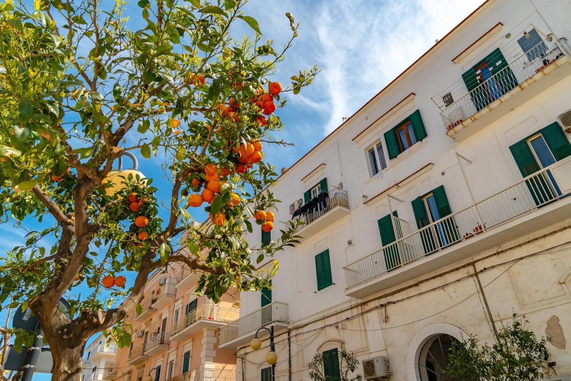 Villa Mapa - Appartamenti vicino al mare Vieste Esterno foto