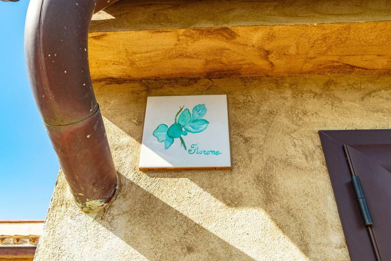 Villa Mapa - Appartamenti vicino al mare Vieste Esterno foto